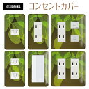 コンセントカバー スイッチカバー コンセントプレート スイッチプレート フォレスト 緑 森 ナチュラル パナソニック コスモ 1口 2口 3口 スイッチ用 5口 6口 対応 インテリア雑貨