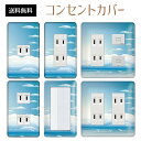 コンセントカバー スイッチカバー コンセントプレート スイッチプレート リゾート 夏 サマー 海 パナソニック コスモ 1口 2口 3口 スイッチ用 5口 6口 対応 インテリア雑貨