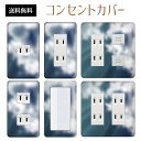 コンセントカバー スイッチカバー コンセントプレート スイッチプレート リゾート 夏 サマー 海 パナソニック コスモ 1口 2口 3口 スイッチ用 5口 6口 対応 インテリア雑貨