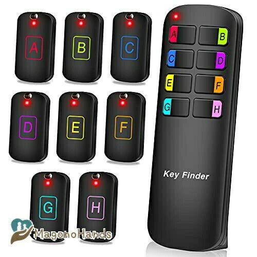 ե Key finder õʪȯ ˺ʪõε ʪɻ 顼 ֤˺  ʶɻ νФ  ...