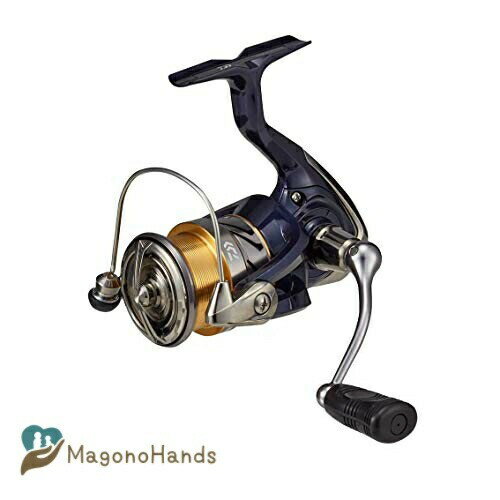 _C(DAIWA) XsjO[ 20 NXg LT (2020f)