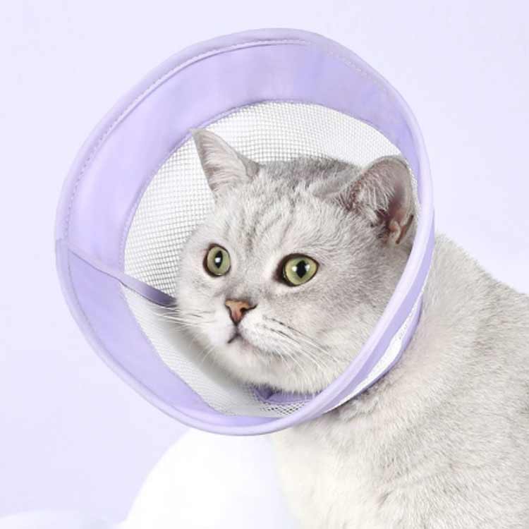 エリザベスカラー 軽量 簡単装着 猫 面ファスナー留め ソフト 柔らかい エリザベス...