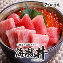 【15時までのご注文で即日発送】 海鮮 ギフト 送料無料 グルメ 海鮮セット 本マグロ大トロ 赤身 イクラ 海鮮丼 手巻き寿司 ごちそう 恵方巻 節分 母の日 誕生日 プレゼント 御祝 内祝 ご褒美 食べ物 魚介 おつまみ 健康 美味しい マグロ まぐろ 鮪 海勝丼 gd110