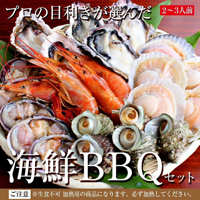 海鮮 バーベキュー セット 家キャン 赤海老 殻付き 牡蠣 帆立 大アサリ サザエ 貝類 2〜3人前 BBQ