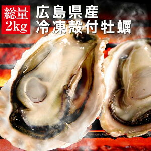 牡蠣 殻付き 広島県産 冷凍 2kg 約15〜18個入 2〜3人前 海鮮 キャンプ バーベキュー おつまみ BBQ カンカン焼き 追加用として人気 カンカンは付いていません gd138
