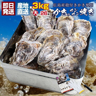 牡蠣 殻付き カンカン焼き 海鮮 バーベキュー セット 広島県産 冷凍 カキ 約3kg 約26個前後 （片手用軍手・ナイフ・調理説明書付き） 貝類 食材 おつまみ ガンガン焼き キャンプ BBQ gd130