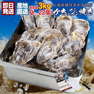 広島産や殻付き牡蠣など｜バーベキューにぴったりな美味しい牡蠣のおすすめは？