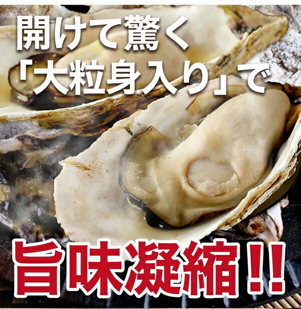 殻付き 牡蠣 広島県産 冷凍 2kg 約15〜18個入 2〜3人前 海鮮 キャンプ バーベキュー おつまみ BBQ カンカン焼き 追加用として人気 カンカンは付いていません gd138