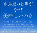 GWも対応【15時までのご注文で即日発送】 海鮮 バーベキュー 牡蠣 カンカン焼き セット 広島県産 冷凍 殻付き カキ Lサイズ～LLサイズ 総重量3kg 100g以上 ご馳走 貝類 キャンプ 食材 3〜4人前 【片手用軍手・ナイフ・調理説明書付き】 おつまみ 牡蠣缶 ガンガン焼き 3