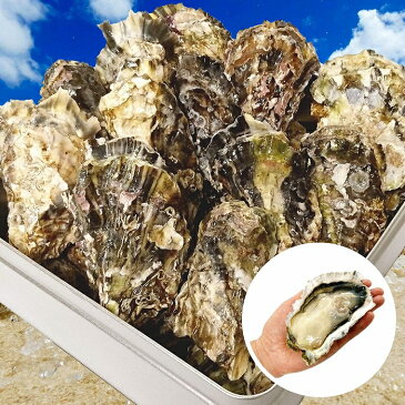 牡蠣 殻付き カキ カンカン焼き 海鮮 バーベキュー セット 広島県産 約3kg 大粒 LLサイズ 20~23個入 冷凍 貝類 一斗缶 軍手 ナイフ かんかん 家キャン 調理説明書付 ガンガン焼き キャンプ BBQ gd130