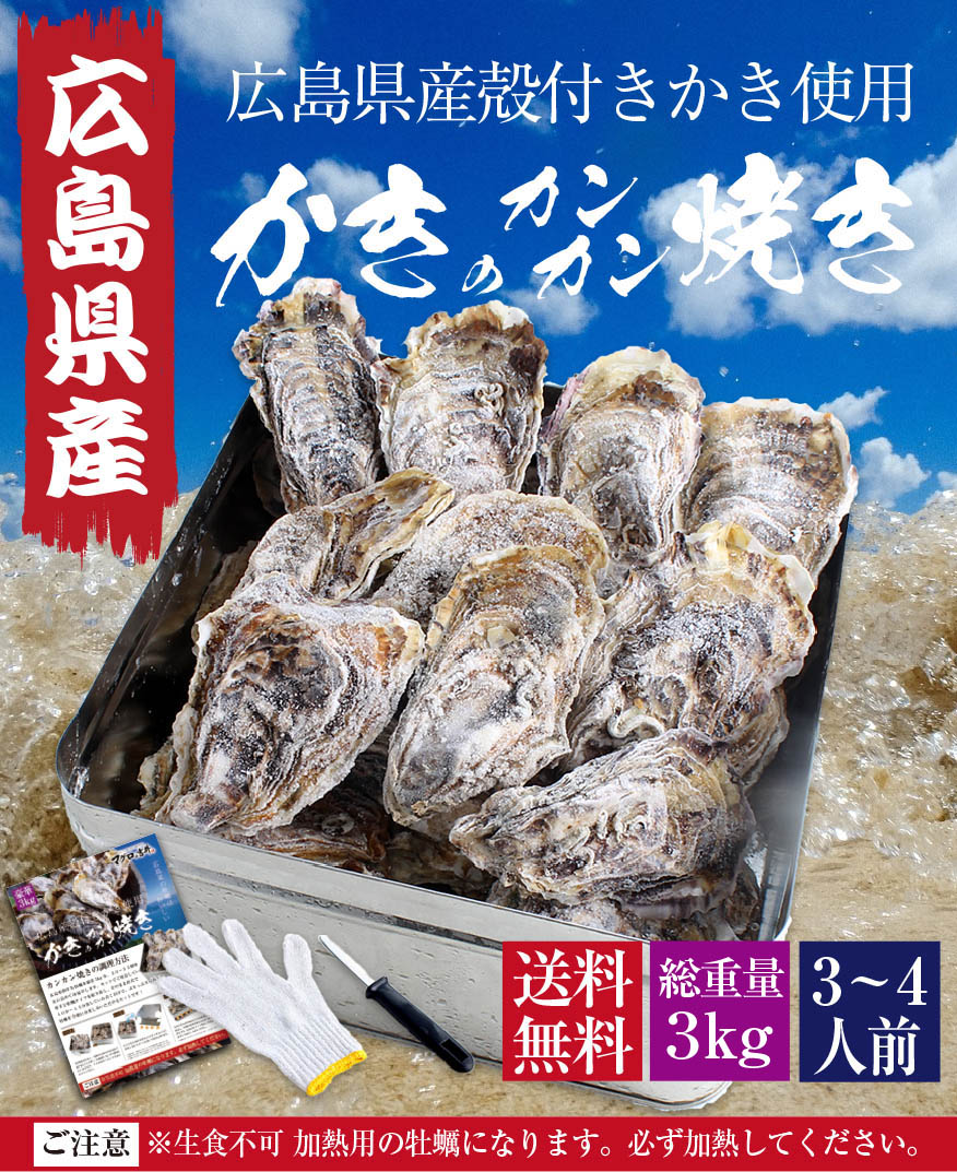 牡蠣 殻付き カンカン焼き 海鮮 バーベキュー セット 広島県産 冷凍 カキ 約3kg 約26個前後 （片手用軍手・ナイフ・調理説明書付き） 貝類 食材 おつまみ ガンガン焼き キャンプ BBQ gd130