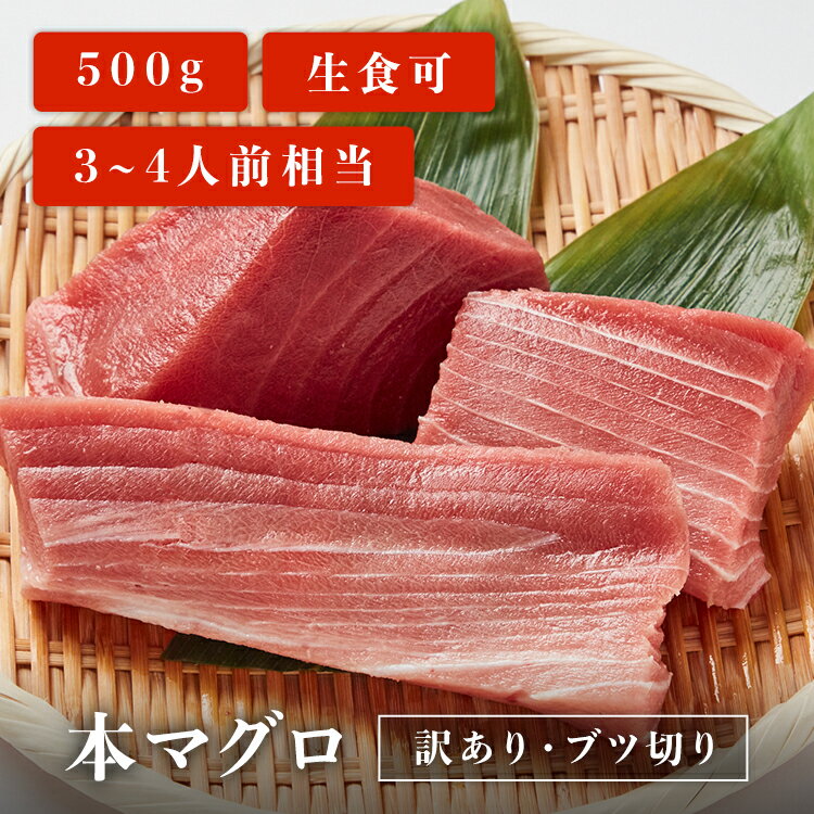 【 訳あり 0.5kg 】 本マグロ ブツ切りマグロ 刺身 用 3~4人前相当 業務用 お取り寄せ 冷凍鮪