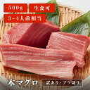 【 訳あり 0.5kg 】 本マグロ ブツ切