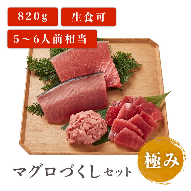 【本マグロ入り 豪華4点セット 】マグロ づくし セット 極み 820g 本マグロ 中トロ ネギトロ 5~6人前相当 ネギトロ マグロ 刺身 用 お取り寄せ 冷凍鮪 本鮪 プレゼント