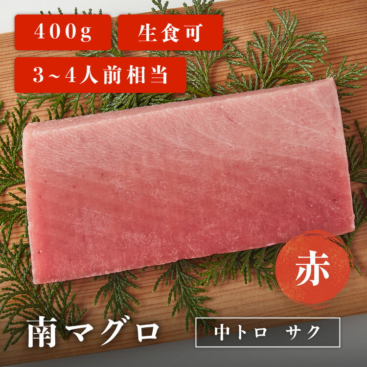 南マグロ中トロサク 赤 400g 3~4人前相当 マグロ 刺身 用 お取り寄せ 冷凍鮪