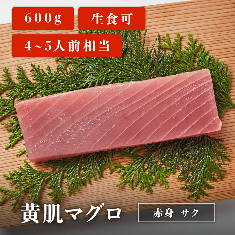 50%OFF【9/4 20:00〜9/11 01:59】黄肌マグロサク 600g 4~5人前相当 マグロ 刺身 用 お取り寄せ 冷凍鮪 黄肌鮪 キハダマグロ