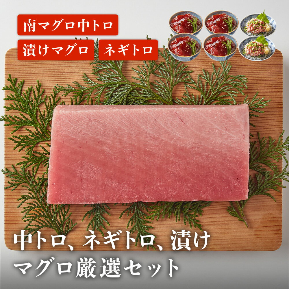 漬け240g ネギトロ220g 南マグロ中トロ柵赤200g