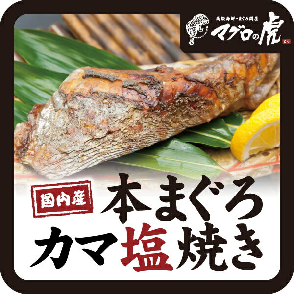 福袋 国産 マグロ カマ塩焼き クロマグロ お取り寄せグルメ まぐろ カマ