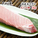 福袋 マグロ 刺身 国産 大トロ柵1kg 福袋 まぐろ 海鮮 お取り寄せグルメ 鮪 刺身 母の日 ギフト 母 へ の プレゼント ははの日 ははの日 ははのひ 母の日の贈り物 感謝 ありがとう 夏 夏バテ 1