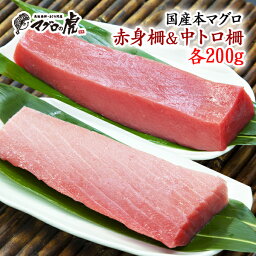 福袋 マグロ 中トロ 赤身 セット 400g まぐろ 刺身 海鮮 お取り寄せグルメ 鮪 刺身 福袋 お取り寄せグルメ 九州 土産 お土産 母の日 ギフト 母 へ の プレゼント ははの日 ははの日 ははのひ 母の日の贈り物 感謝 ありがとう 夏 夏バテ