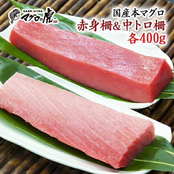 福袋 マグロ 刺身 国産 中トロ 赤身 セット 800g 鮪 まぐろ トロ ブロック お取り寄せ お取り寄せグルメ お歳暮 せいぼ 御歳暮 贈物 ギフト プレゼント 正月 年末年始 ご馳走 高級 贈答のサムネイル