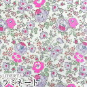 LIBERTYリバティプリント 国産つや消しラミネート(ビニールコーティング生地)＜Felicite＞(フェリシテ)MATLAMI3637113N-J22A