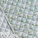 LIBERTYoeBvg Y^i[nLeBO(|GXeLgn)Alice W(AXEW AX_u)yTbNXzQUILT3635152-J18E