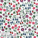 LIBERTYリバティプリント 国産タナローン生地(エターナル)<Little Mirabelle>(リトルミラベル)3632003AE(3)