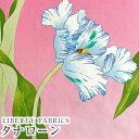 LIBERTYoeBvg C^A^i[nOhara Tulip(InE`[bv)ysNnz3634105-24AUs2024SS THE LIBERTY KALEIDOSCOPEt