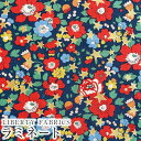 LIBERTYリバティプリント 国産つや消しラミネート(ビニールコーティング生地)<Betsy Star>(ベッツィスター)【ネイビー地】MATLAMI36368406-AT(3)