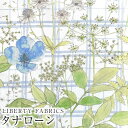 LIBERTYリバティプリント 国産タナローン生地(エターナル)<Irma's Garden>(イルマズ・ガーデン)【ブルーチェック】DC33556WE(3)