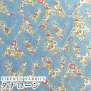 LIBERTYリバティプリント イタリア製タナローン生地＜Betsy Ann Graffiti＞(ベッツィアングラフィティ)【サックス】3636832-CU《2023AW Liberty In Love》