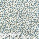 LIBERTYリバティプリント 国産ピカデリーポプリンつや消しラミネート(ビニールコーティング生地)<Kensington Rose>(ケンジントンローズ)【サックス】MATLAMI1611102BP(3)