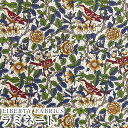 LIBERTYリバティプリント 国産つや消しラミネート(ビニールコーティング生地)【エターナル】<Strawberry Tree>(ストロベリーツリー)【イエローグリーン】MATLAMI-DC31032AE(3)