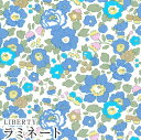 LIBERTYリバティプリント 国産つや消しラミネート【2023SS Neon Liberty ネオンリバティ】<Betsy>(ベッツィ)【サックスネオン】MATLAMI3332019N-J23E(3)