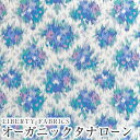LIBERTYリバティプリント イタリア製オーガニックタナローン生地<Nutmeg>(ナツメグ)【ブルー】157J907-AU(3)