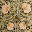V&A William Morris ウィリアムモリス 綿麻キャンバス生地<Pimpernel>(ピンパネル)【ブラウン】VA10019S-C