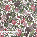 【エントリーでP19倍】LIBERTY FABRICS リバティプリント 国産タナローン生地(エターナル)<Emily>(エミリー)【ピンク】3636163XE(3)