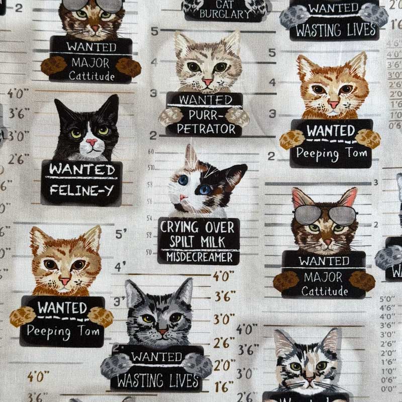 USAコットン Cat Mugshots(キャットマグショット)ネコちゃんの逮捕写真 シーチング生地 ベージュ Timeless Treasures(タイムレストレジャー)CD3061-BEIGE