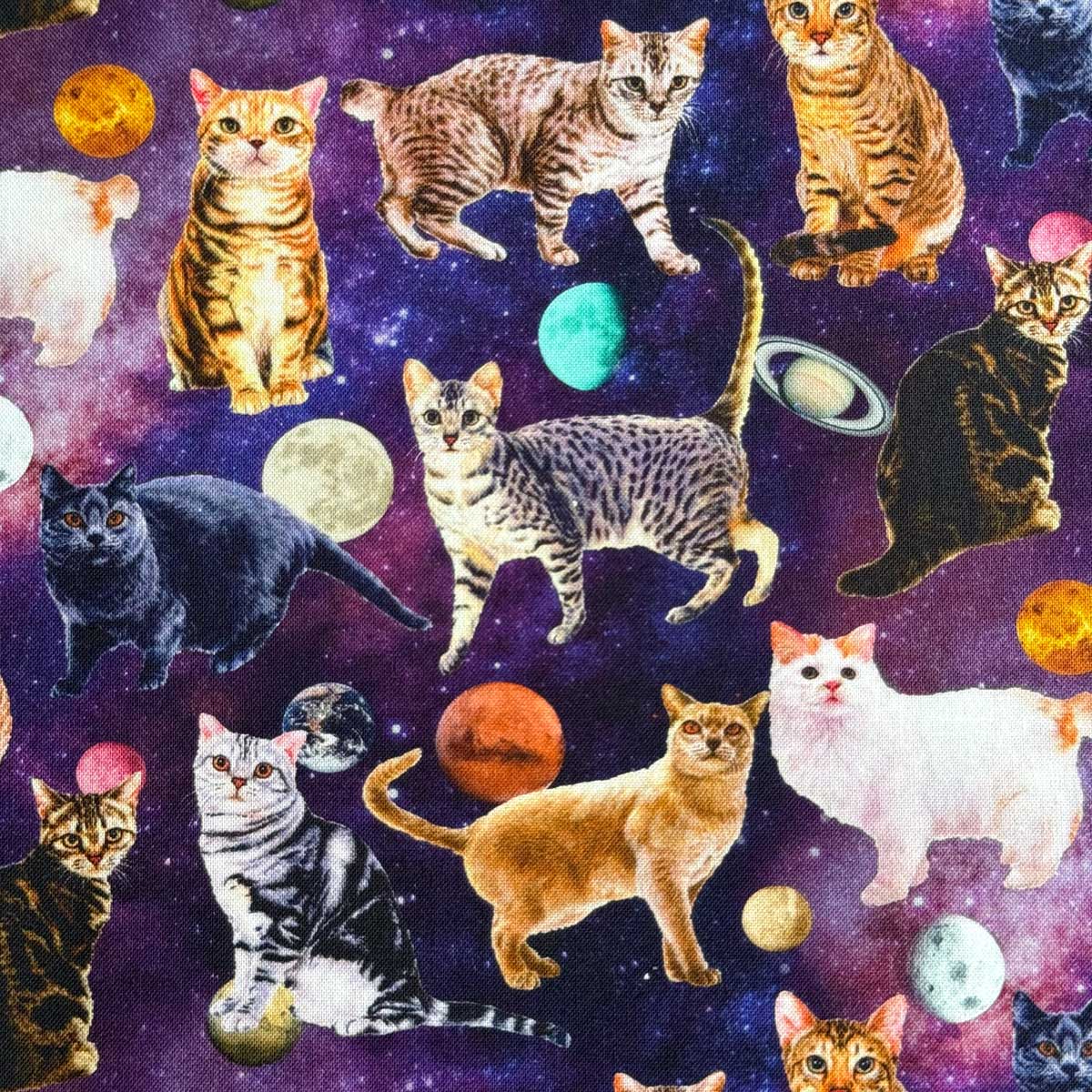 樂天商城 - ねこ柄 Day Dream Cat 宇宙にさまよえる猫 動物 シーチング生地 nora. ノラ ST1129-A