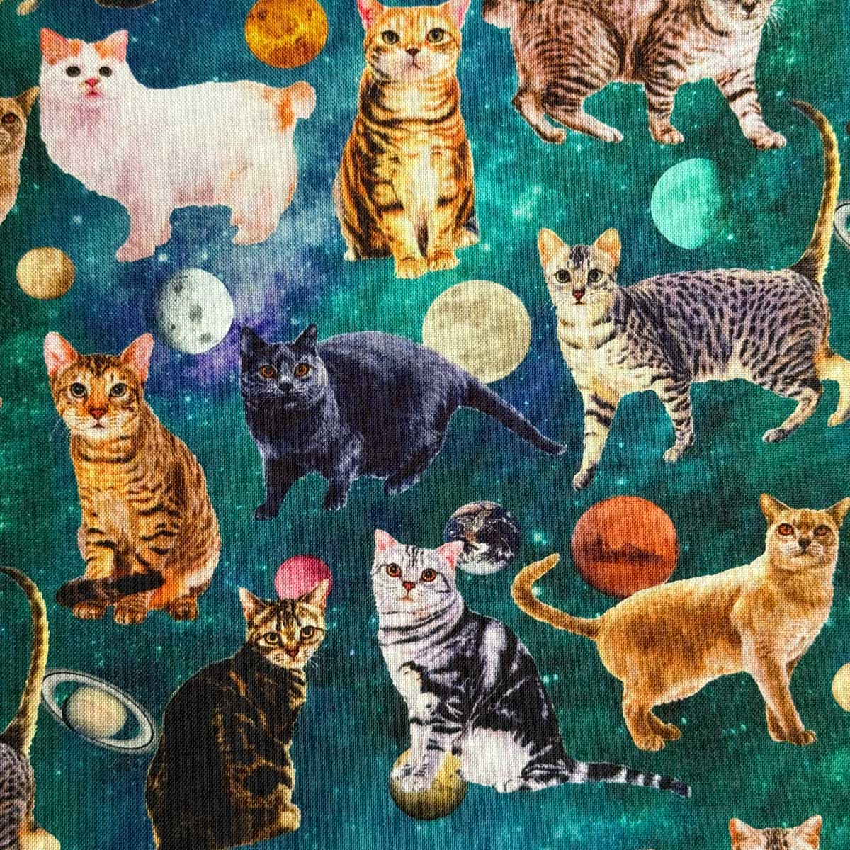 樂天商城 - ねこ柄 Day Dream Cat 宇宙にさまよえる猫 動物 シーチング生地 nora. ノラ ST1129-B