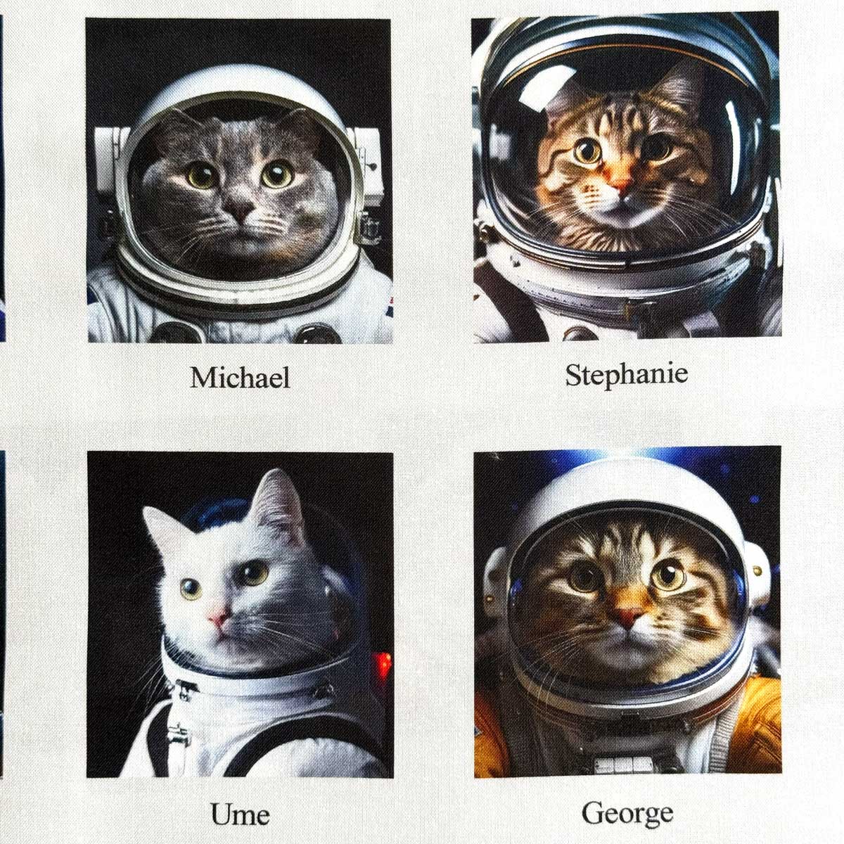 乐天商城 - ねこ柄 Space Cat 宇宙ステーション 動物 シーチング生地 nora. ノラ ST1555-A