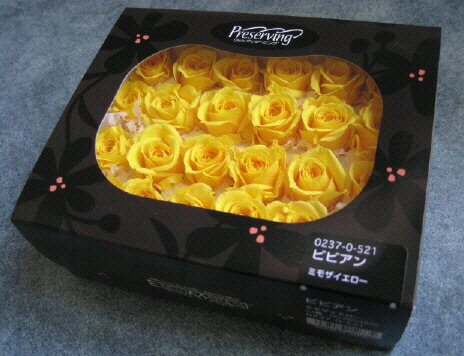 【花材 ローズ】プリザーブドフラワー　大地農園ローズビビアン1箱24輪入り　ミモザイエロー
