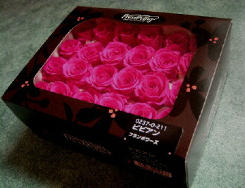 【花材 ローズ】プリザーブドフラワー 大地農園ローズビビアン1箱24輪入り フランボワーズ