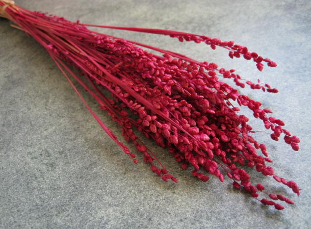 【花材】ドライ・スモールフラワー　フロールエバー　ブリーザ　1束