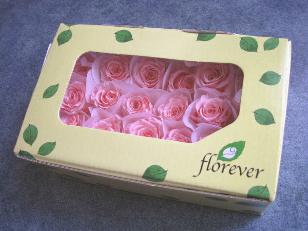 【花材　ローズ】プリザーブドフラワー　フロールエバーピッコラブロッサムローズ1箱18輪入り