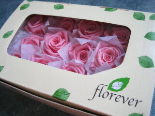 【花材　ローズ】プリザーブドフラワー　フロールエバーベイビーローズ1箱12輪入り　シュガーピンク