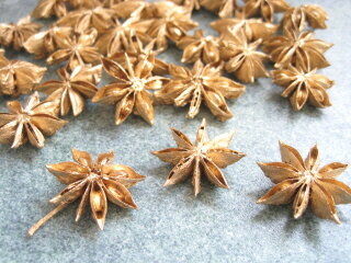 【花材】ドライ　大地農園スターアニス1袋約17個入り　ゴールド