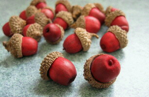 【花材】ドライ・木の実 大地農園カラードングリ1袋約20個入り レッド