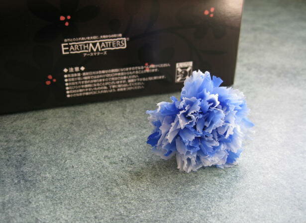 【花材】プリザーブドフラワー　大地農園カーネーション・スフレ1箱8輪入り　ブルー